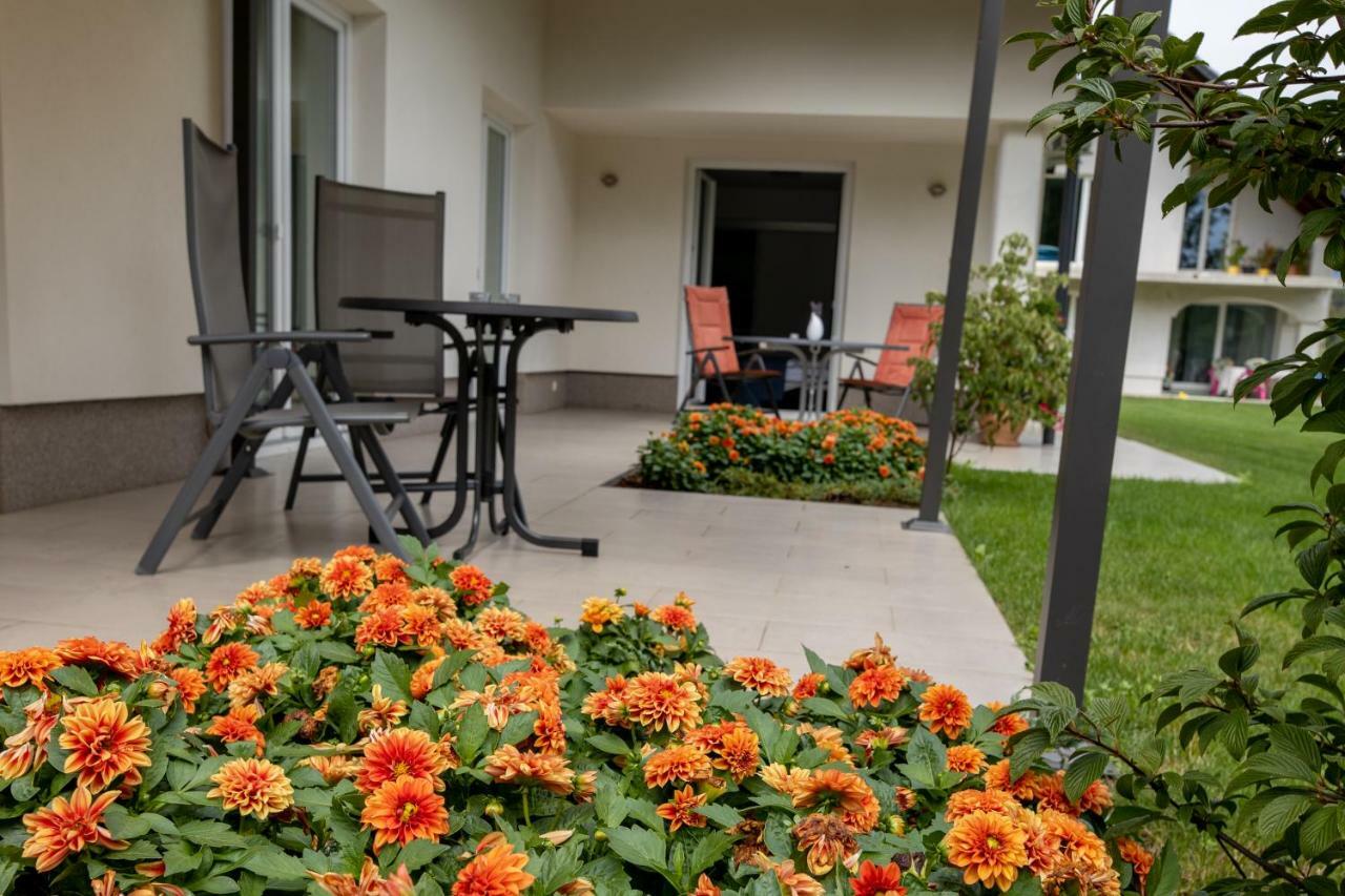 Sobe Meta Bed & Breakfast Brezje ภายนอก รูปภาพ